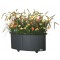 algru_benito_jardinera_oval